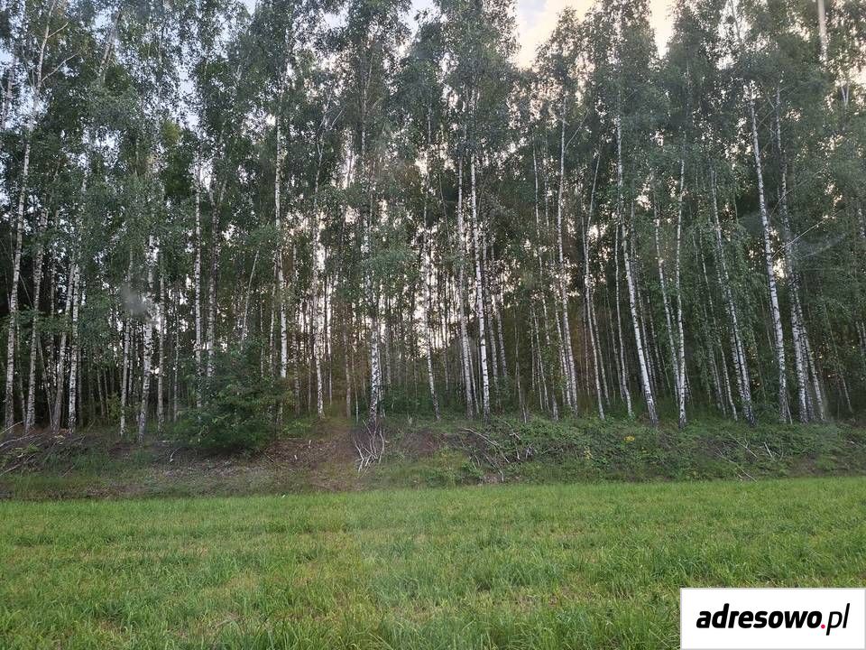Działka Radziki Duże. Zdjęcie 6