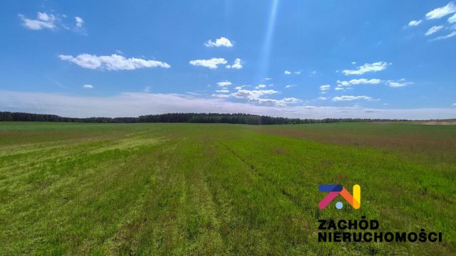 Działka rolna Zabór. Zdjęcie 1