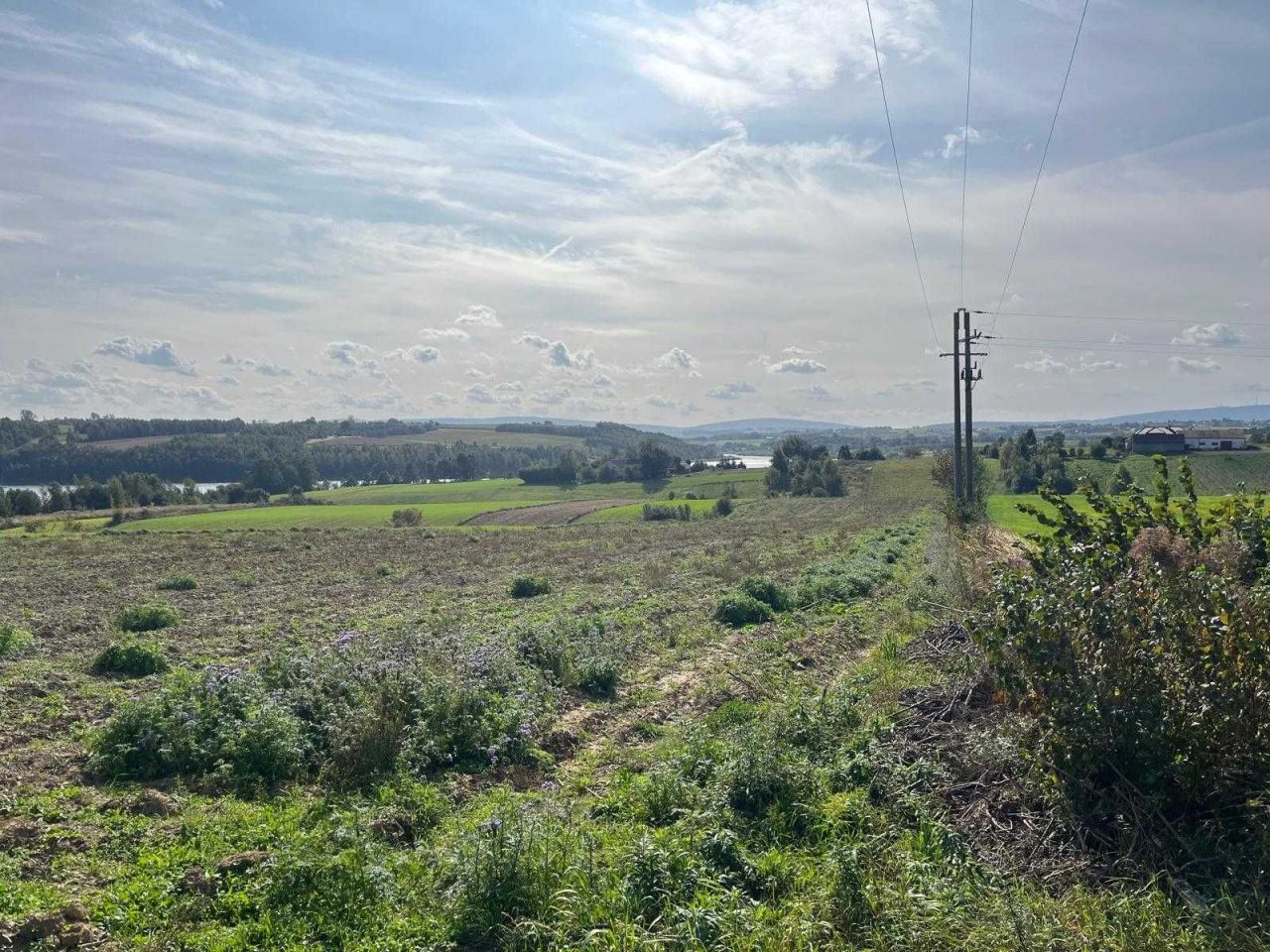 Działka inwestycyjna Bukówka