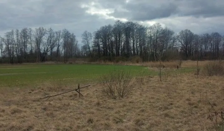 Działka rolna Gdańsk Olszynka, ul. Łanowa