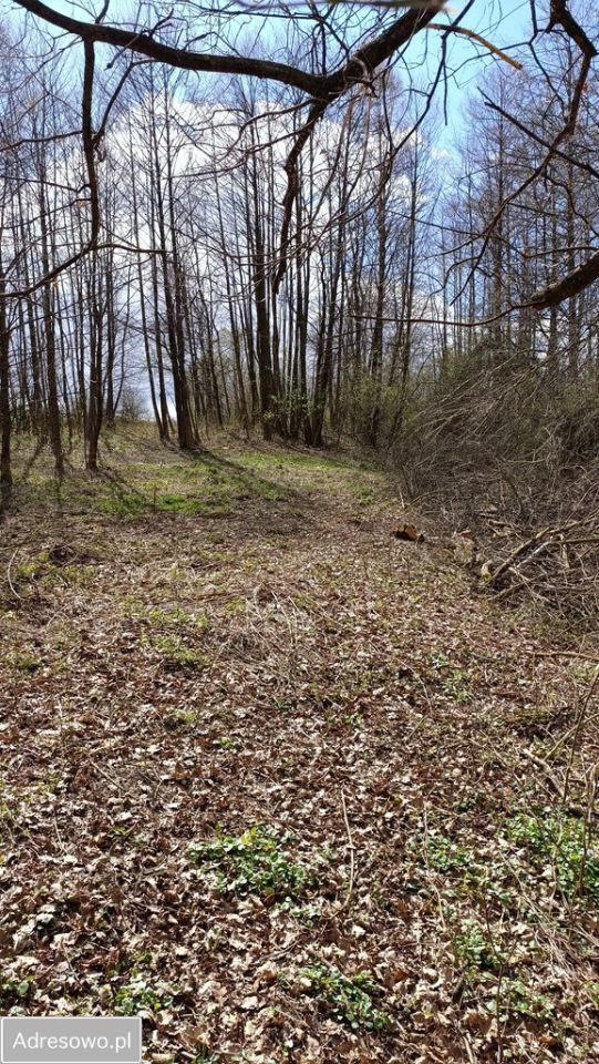 Działka rolna Węglówka. Zdjęcie 5
