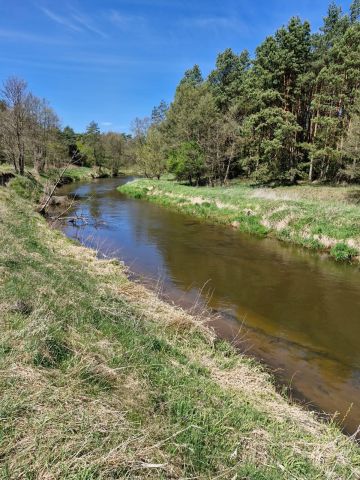 Działka rolna Nieznamierowice. Zdjęcie 3