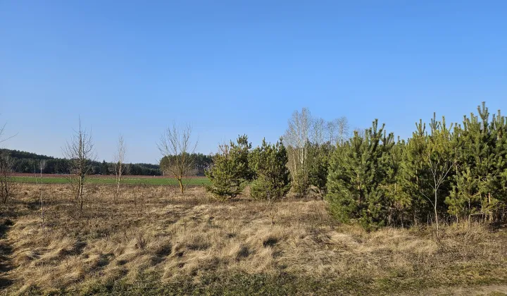 Działka rekreacyjna Stary Strachocin