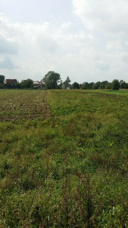 Działka budowlana Wołowice. Zdjęcie 3