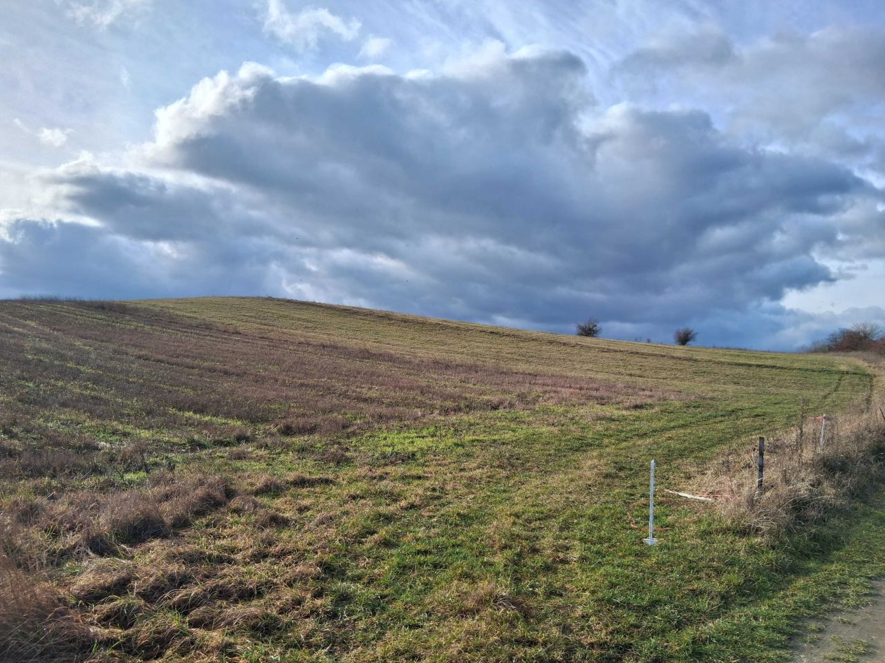 Działka rolna Paprotki. Zdjęcie 3