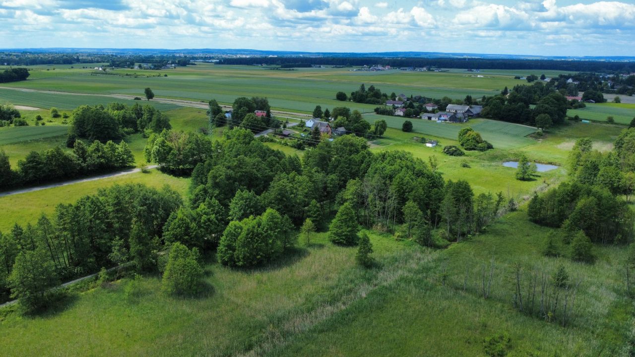 Działka rolna Siennica Nadolna. Zdjęcie 6