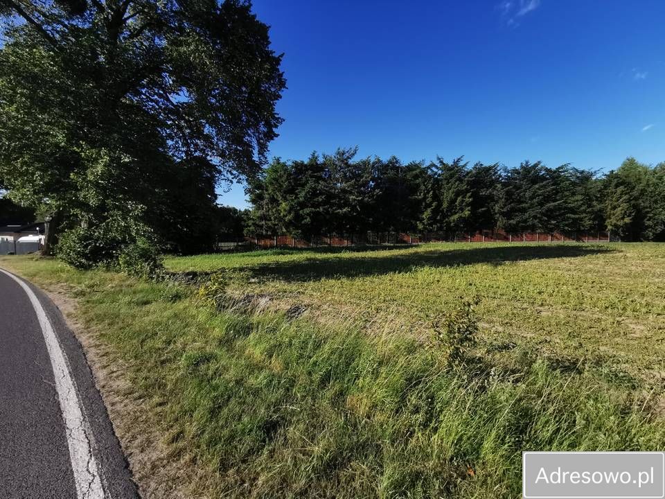 Działka rolna Skarszewy. Zdjęcie 3