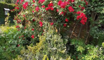 Działka rod Nowy Sącz, ul. Jadwigi Wolskiej