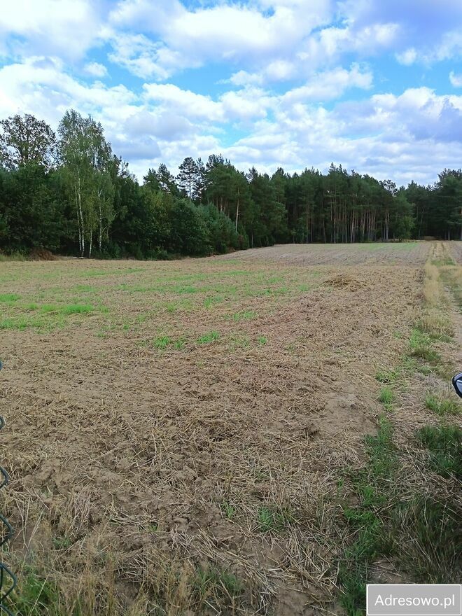 Działka budowlana Łęg Ręczyński