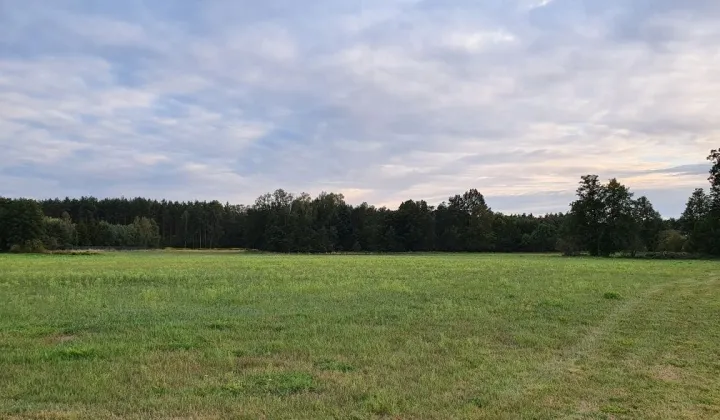 Działka budowlana Chojniki