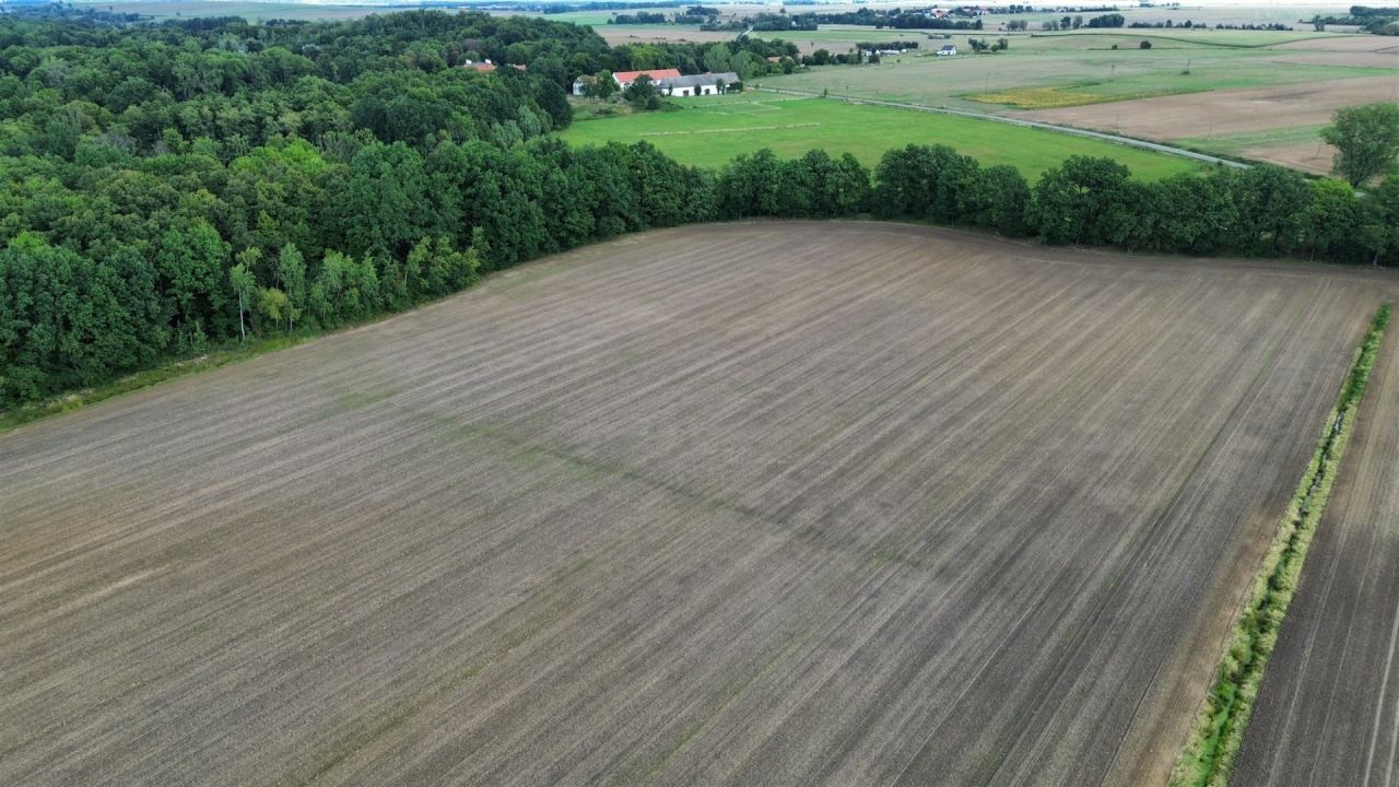Działka rolna Krasków. Zdjęcie 13