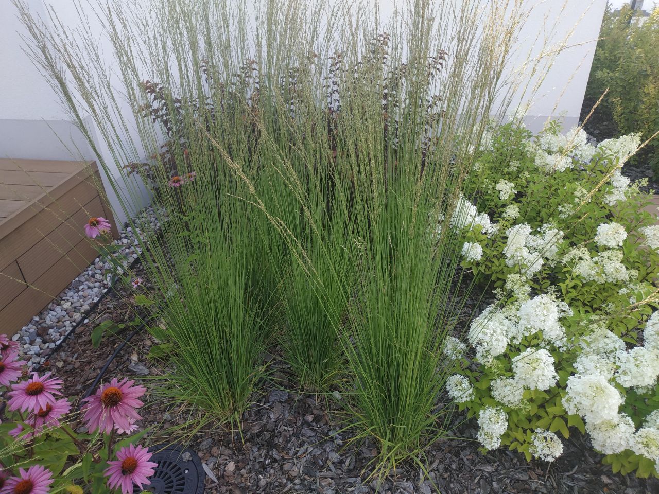 Mieszkanie 4-pokojowe Warszawa Mokotów, ul. Bokserska. Zdjęcie 28