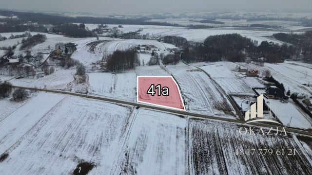 Działka inwestycyjna Niechobrz. Zdjęcie 4