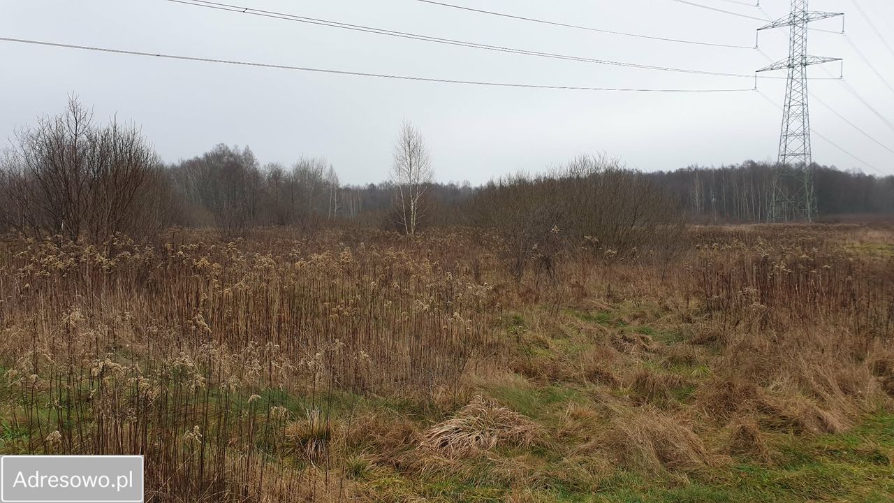 Działka rolna Długa Kościelna, ul. Forsycji. Zdjęcie 4