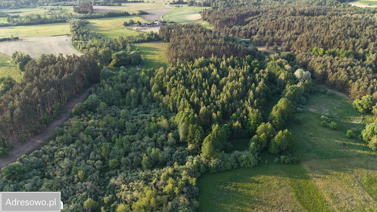 Działka rolna Gorczeniczka. Zdjęcie 6