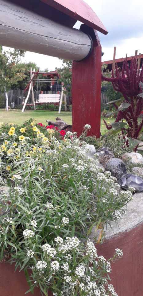 dom wolnostojący, 3 pokoje Studzianki. Zdjęcie 15