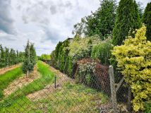 Działka rolna Narty. Zdjęcie 3