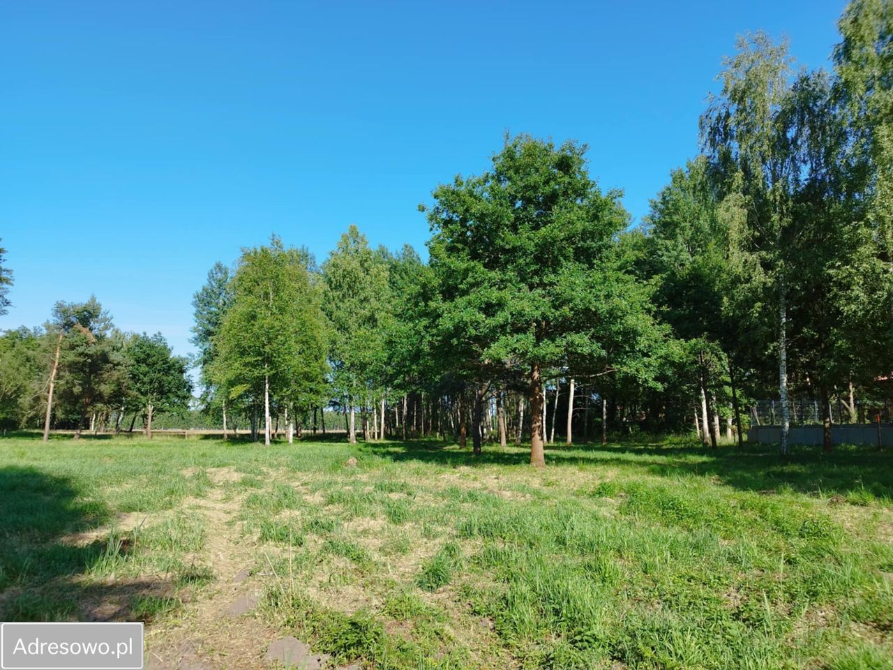 Działka budowlana Rokitki. Zdjęcie 8