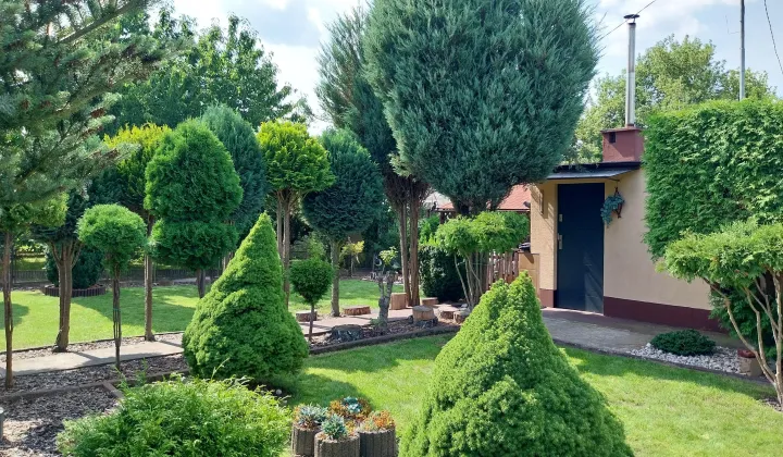 Działka rod Bydgoszcz Kapuściska, ul. Chemiczna