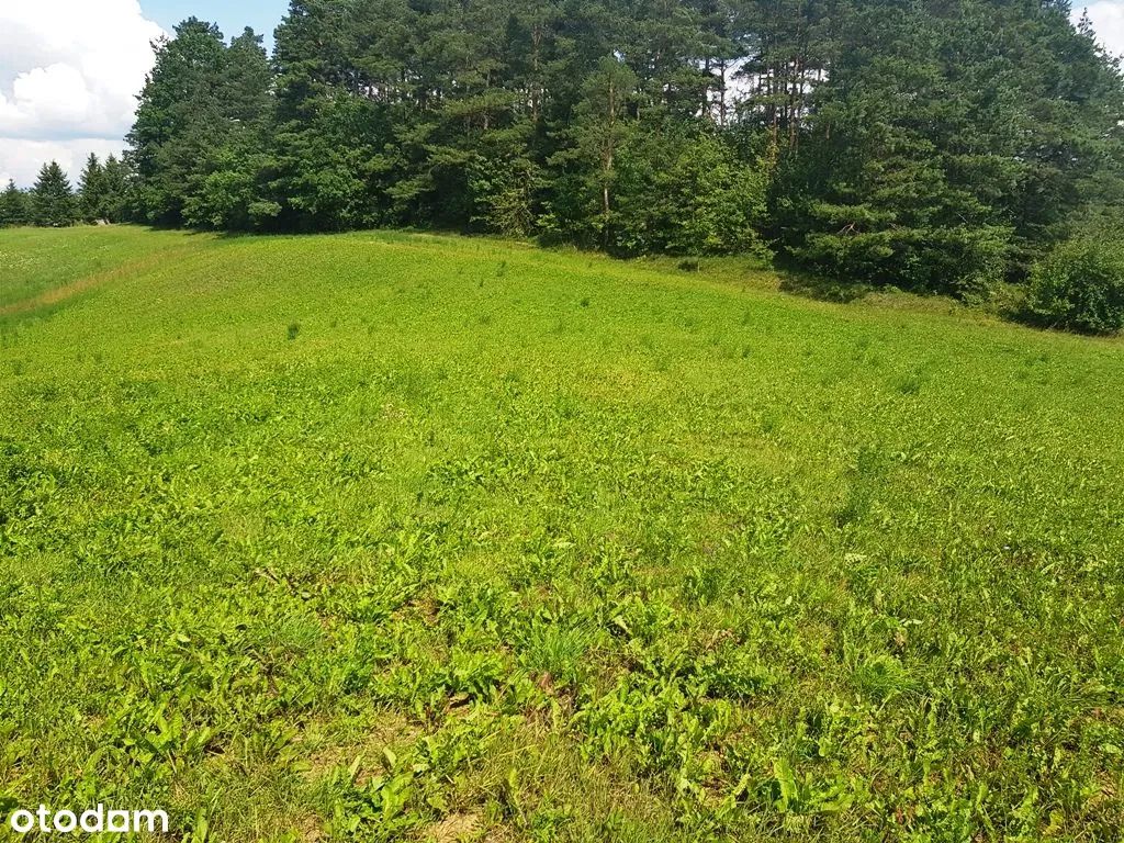 Działka rolno-budowlana Daniłowce. Zdjęcie 6