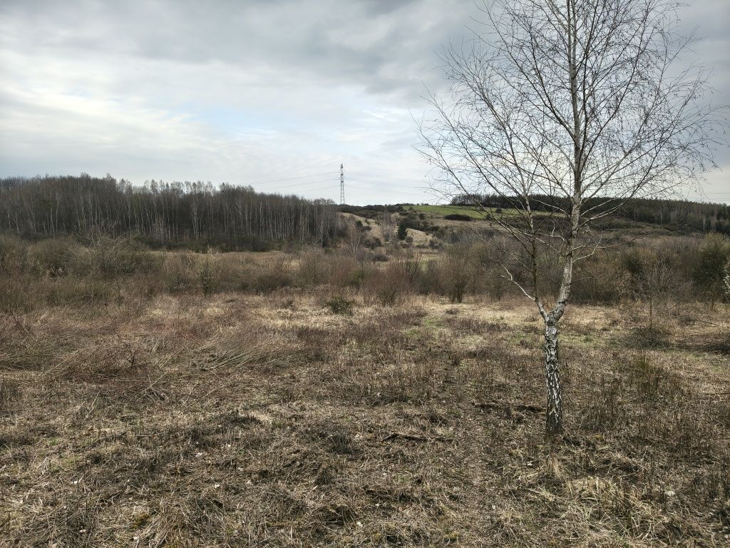 Działka budowlana Brzękowice-Wał. Zdjęcie 8