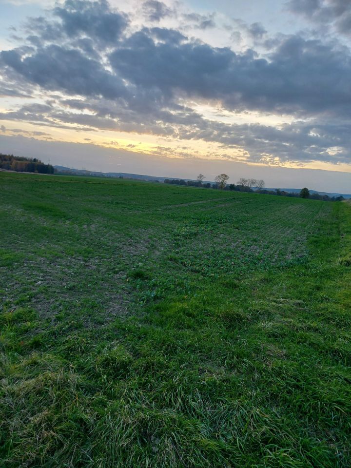 Działka budowlana Osiek Łużycki