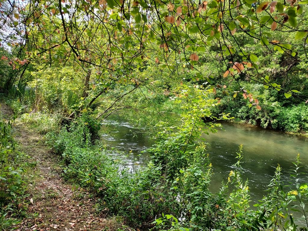 Działka budowlana Skarbka Bidzińszczyzna. Zdjęcie 15