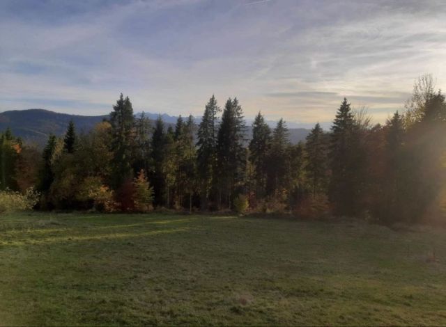 Działka rolna Ochotnica Górna. Zdjęcie 1