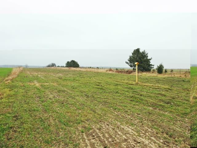 Działka rolna Ożarowice, ul. Tarnogórska. Zdjęcie 2