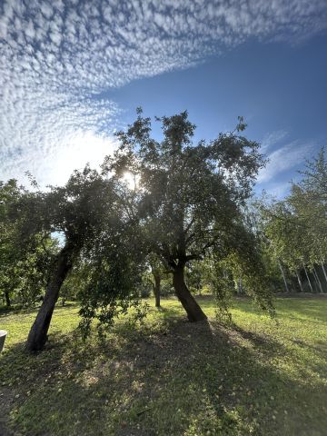 Działka budowlana Sulisławice. Zdjęcie 1