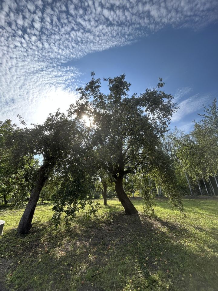 Działka budowlana Sulisławice