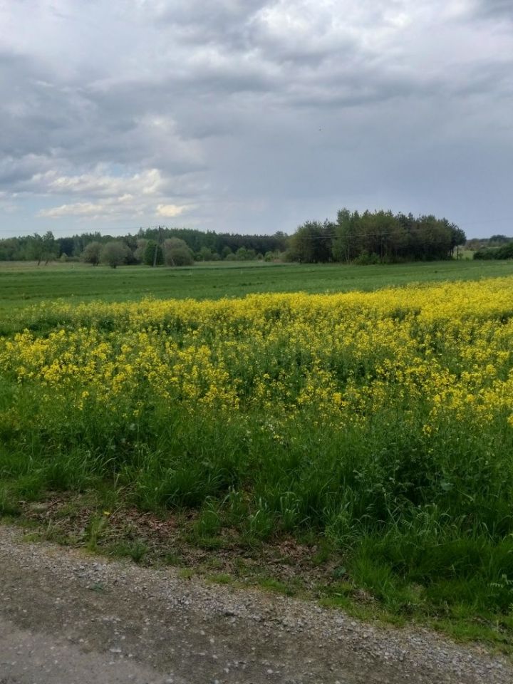 Działka budowlana Partynia. Zdjęcie 2