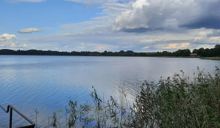 Działka rolno-budowlana Ogrodniki