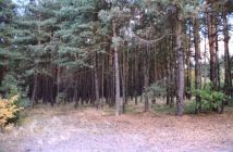 Działka rolno-budowlana Człopy. Zdjęcie 1