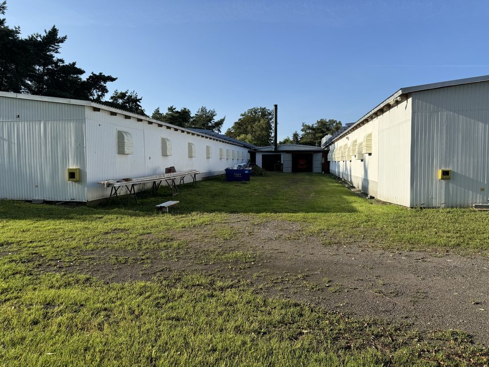 Hala/magazyn Reptowo. Zdjęcie 5