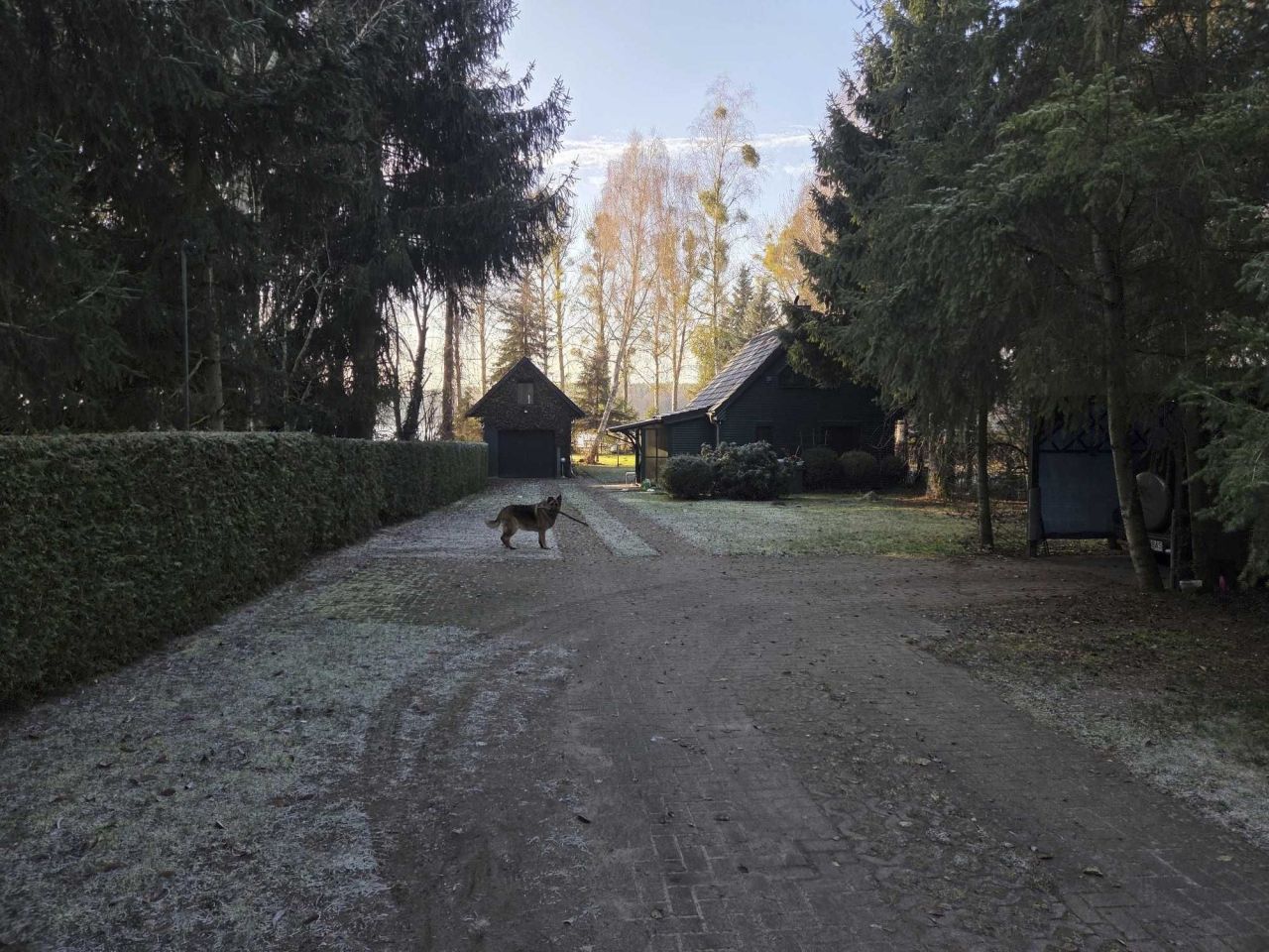 Działka rekreacyjna Ostrowiec. Zdjęcie 6
