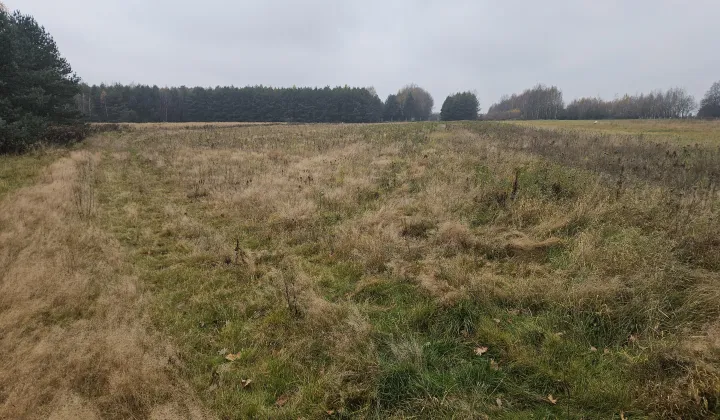 Działka budowlana Trzeboś