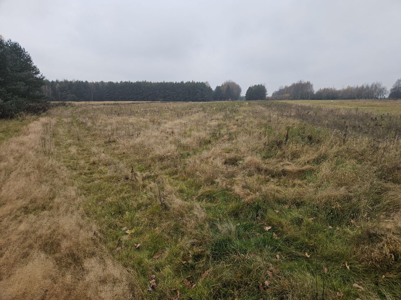 Działka budowlana Trzeboś, Trzeboś