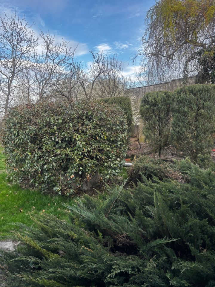 dom wolnostojący, 3 pokoje Oficjałów. Zdjęcie 21