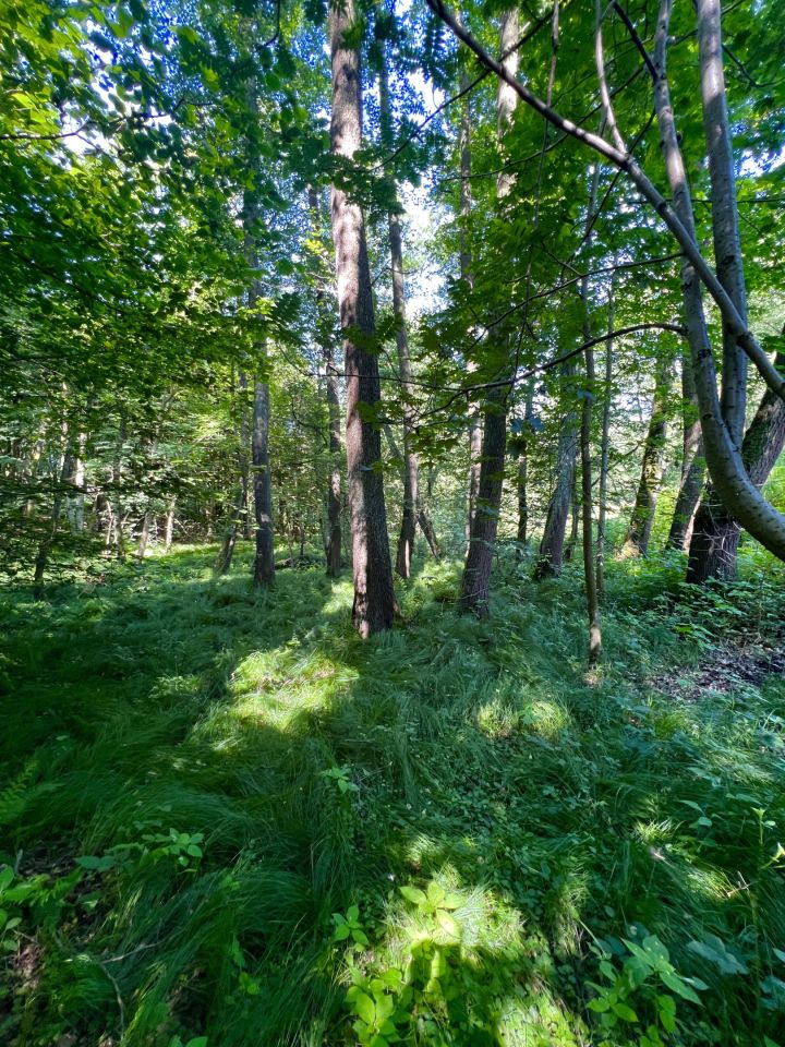 Działka budowlana Pszów, Pszów. Zdjęcie 20