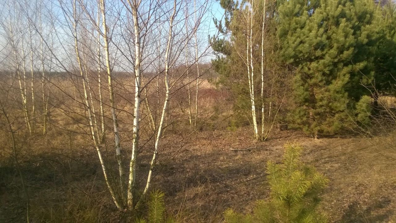 Działka rolna Jedlanka Kępiny. Zdjęcie 6