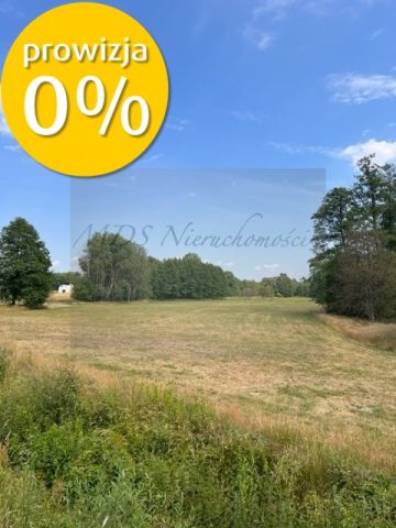 Działka budowlana Węgrów Nowiny. Zdjęcie 5