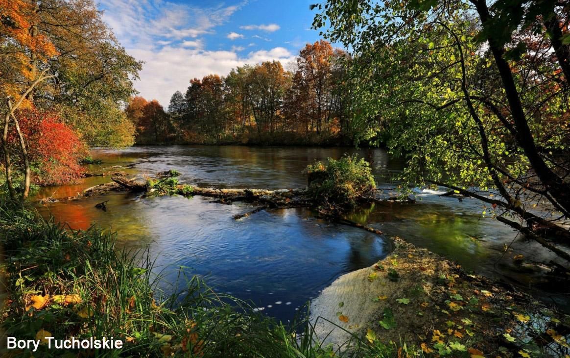 Działka rolna Kiełpin. Zdjęcie 3