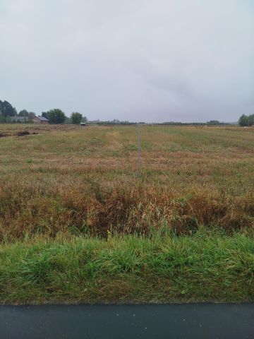 Działka budowlana Bednary, ul. Bitwy nad Bzurą. Zdjęcie 3