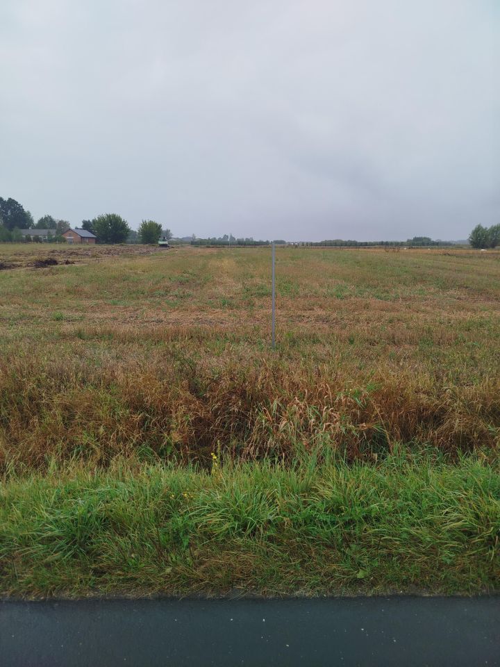 Działka budowlana Bednary, ul. Bitwy nad Bzurą. Zdjęcie 3