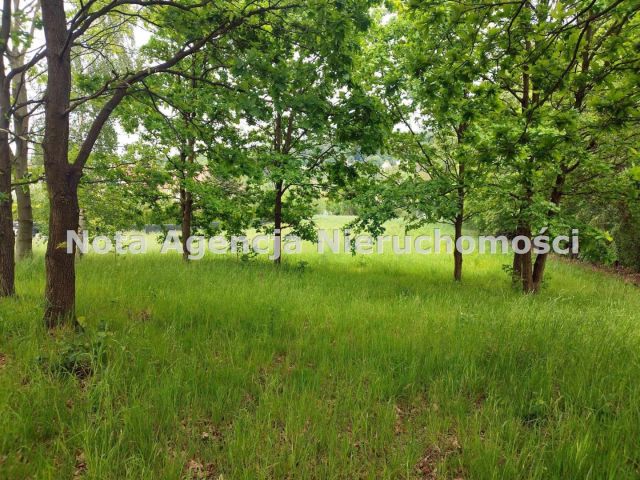 Działka Szczawno-Zdrój, ul. Saperów. Zdjęcie 5