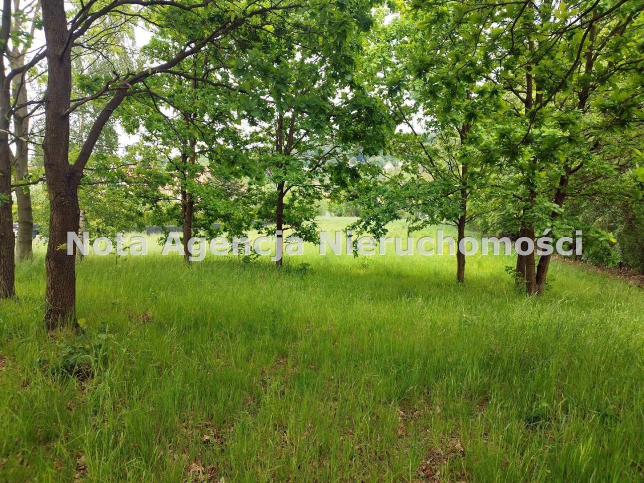 Działka Szczawno-Zdrój, ul. Saperów. Zdjęcie 5