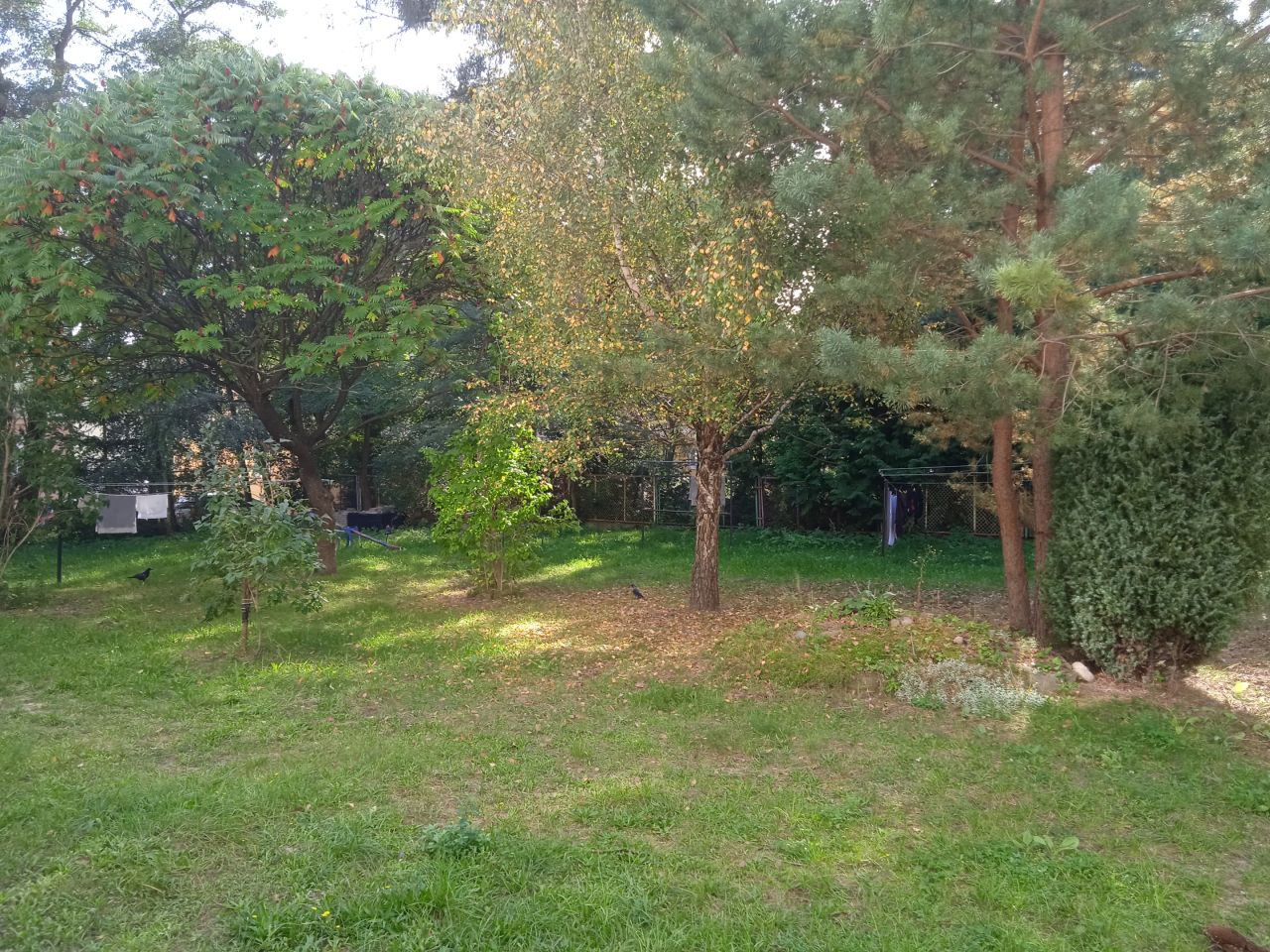 Mieszkanie 2-pokojowe Poniatowa, ul. Młodzieżowa. Zdjęcie 4