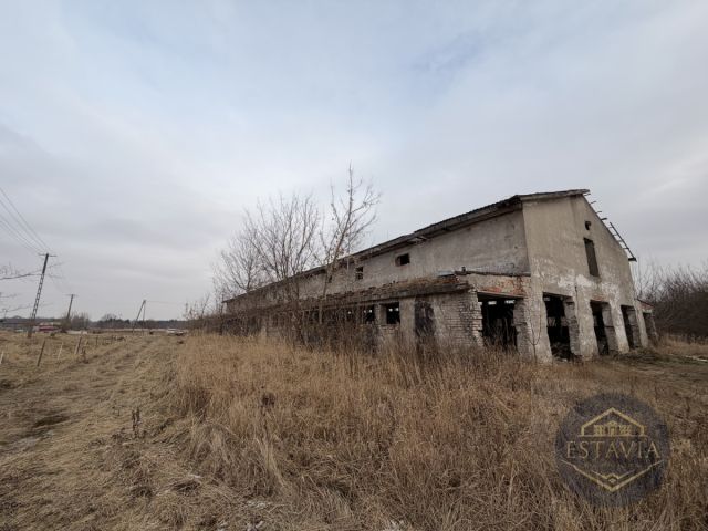 Działka inwestycyjna Węgorzyce. Zdjęcie 1