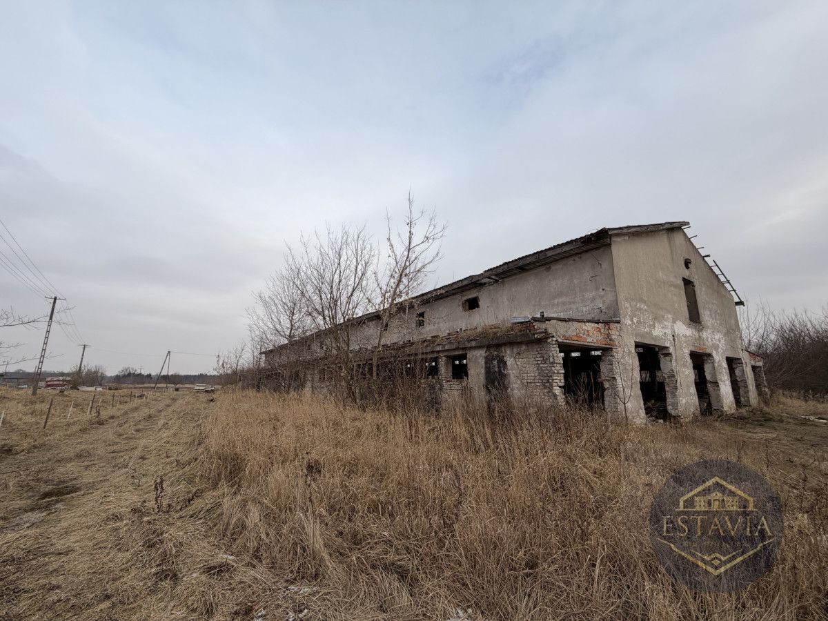 Działka inwestycyjna Węgorzyce. Zdjęcie 1